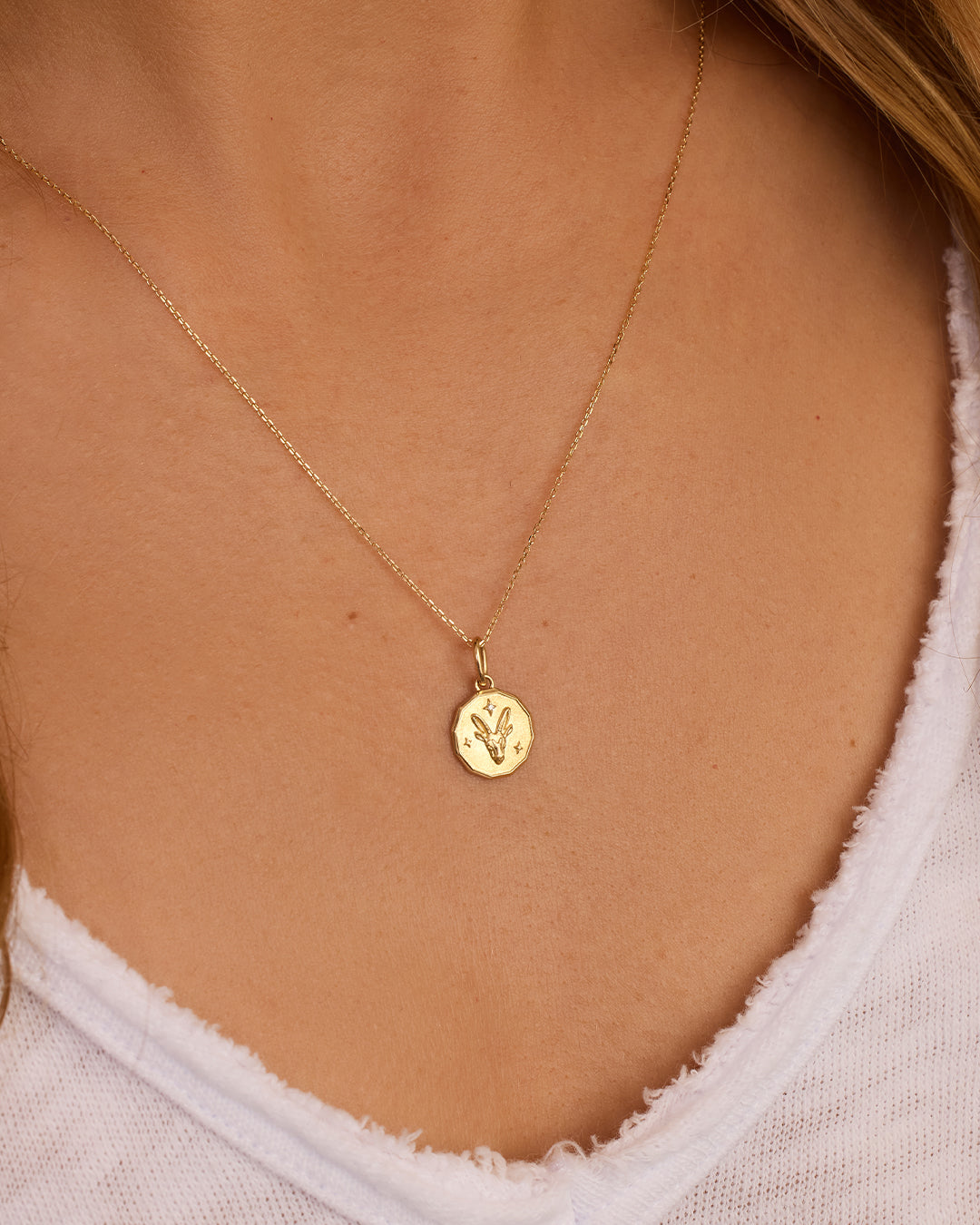 14K Diamond Zodiac Coin Charm