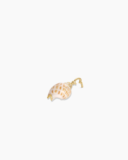 Tulip Shell Parker Charm