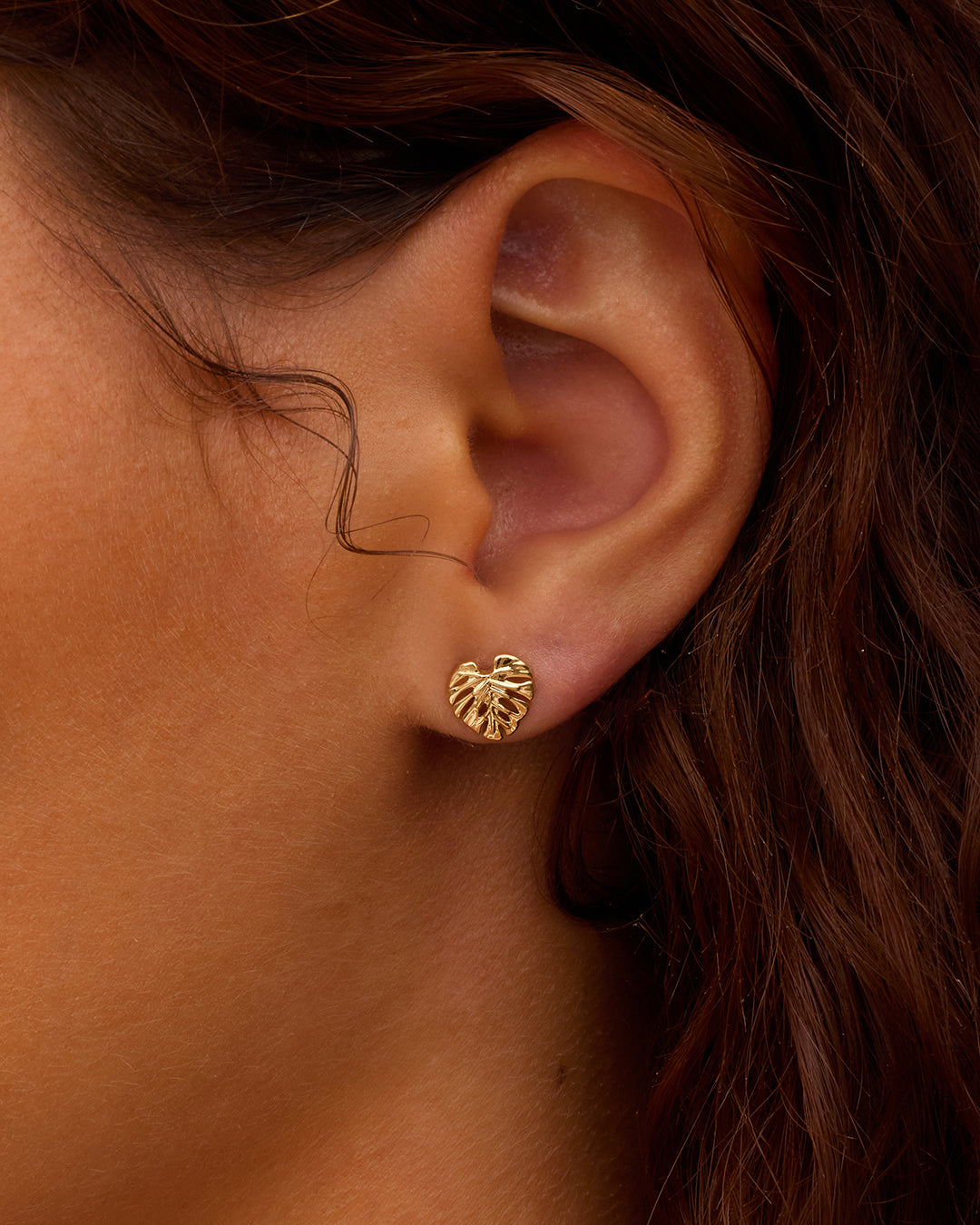Monstera Single Stud