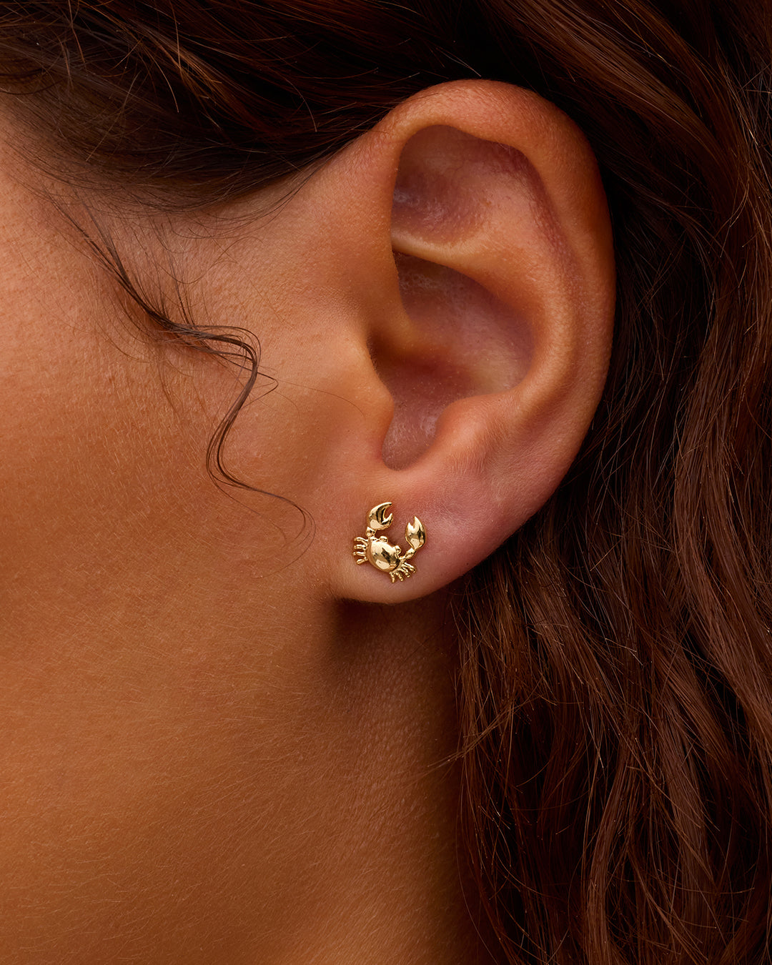 Crab Single Stud