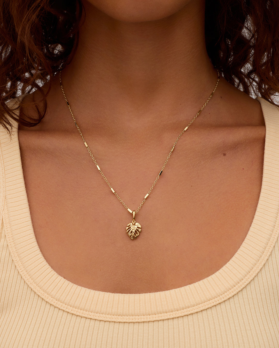Monstera Parker Charm