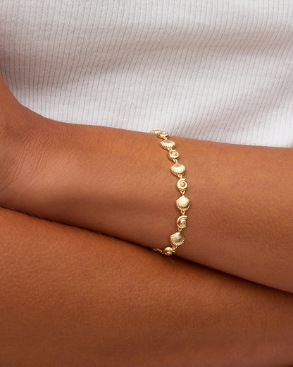 Nautilus Bracelet