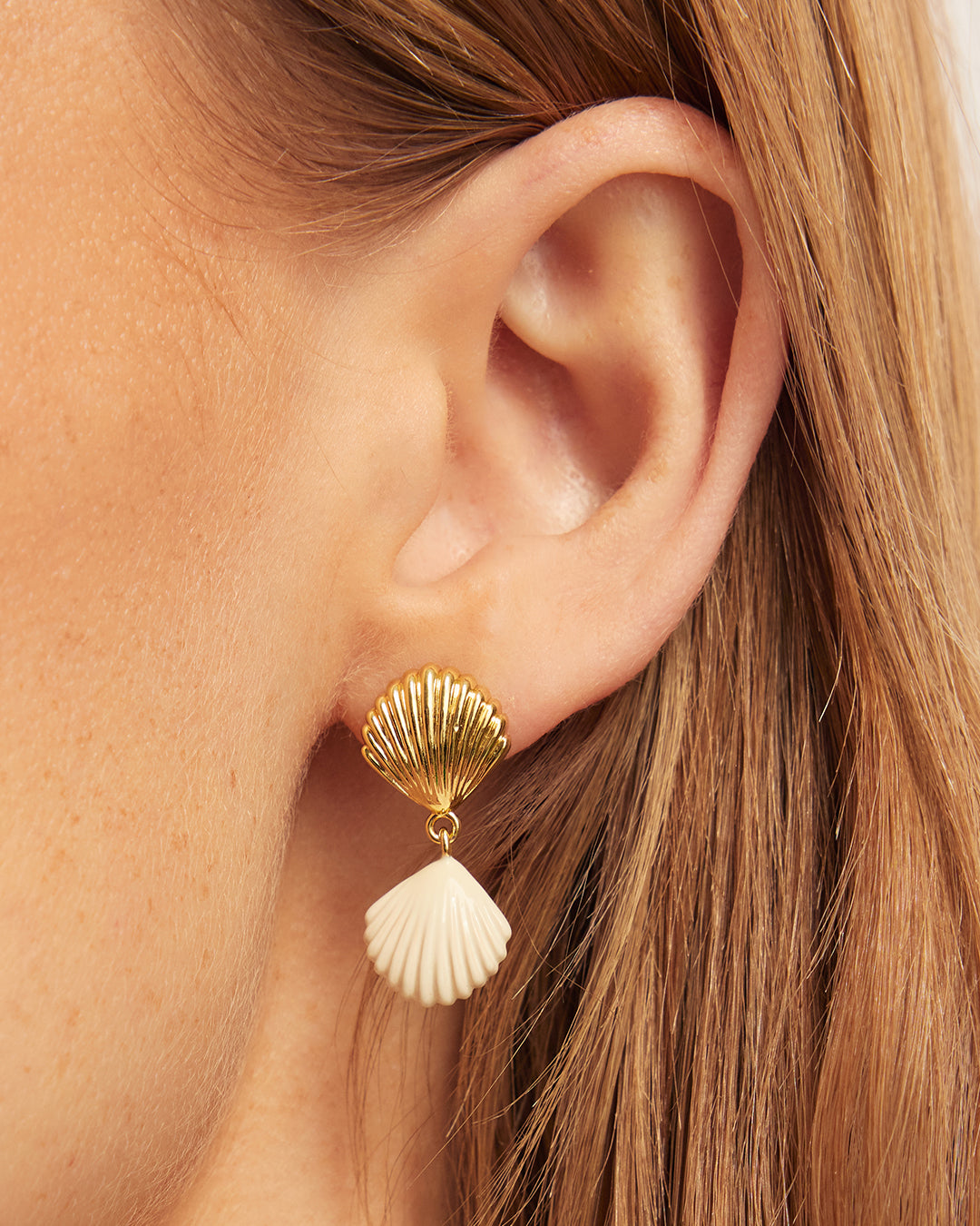 Scallop Earrings