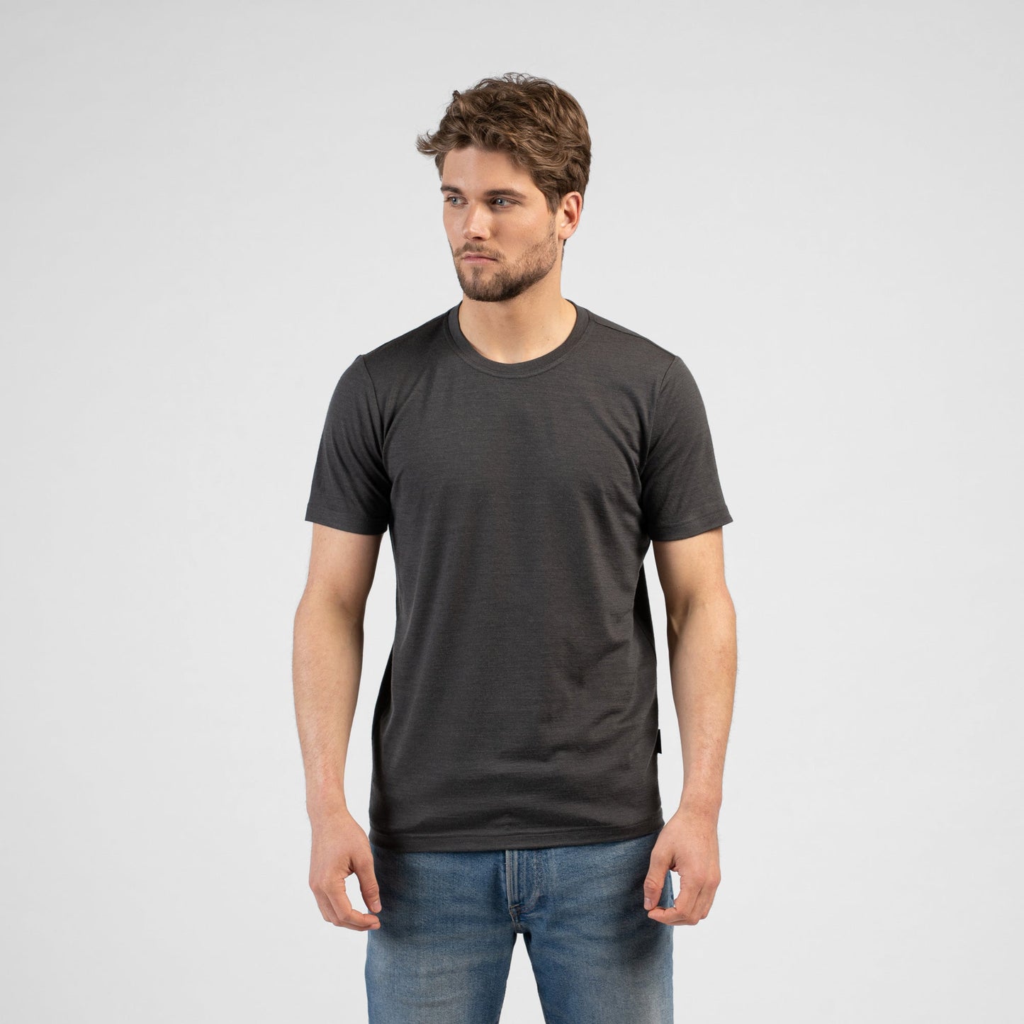 Regular 100% Merino T-Shirt for Men