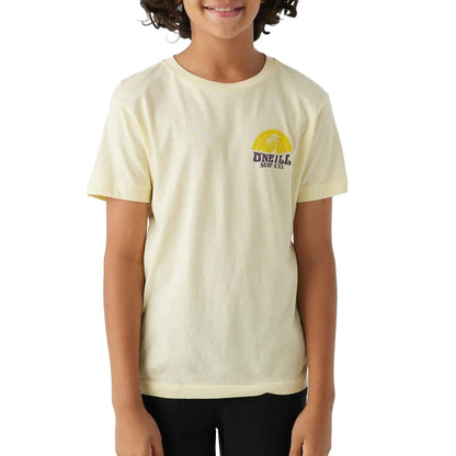 *O'Neill Boy's Shaved Ice Tee - FINAL SALE - Large