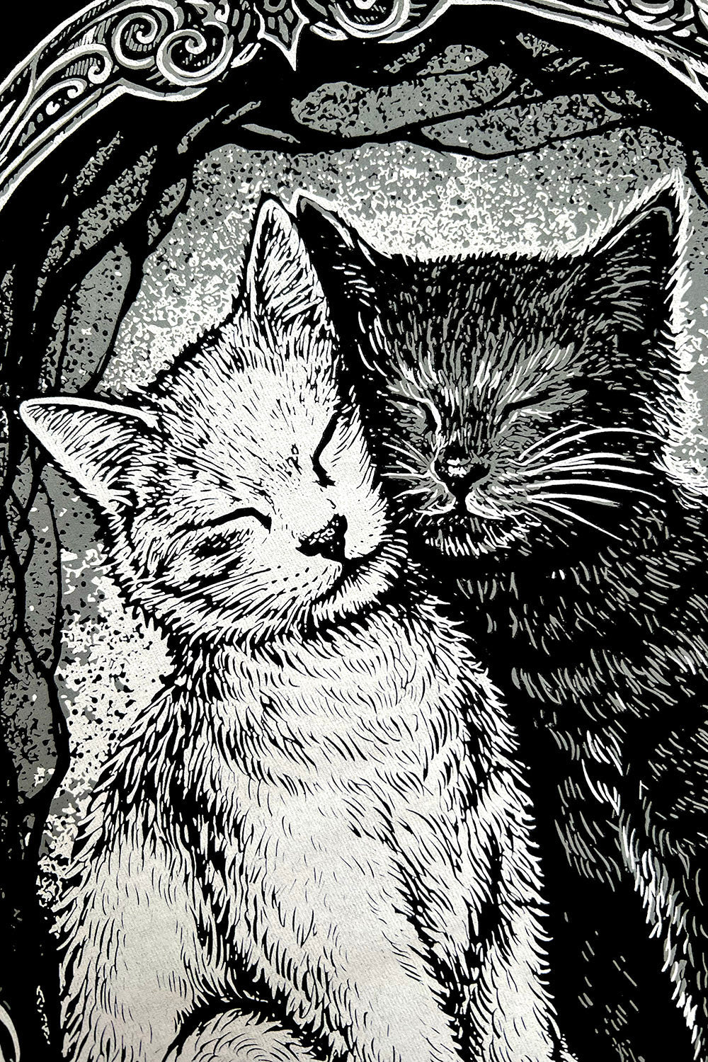 Cat Cuddles Hoodie