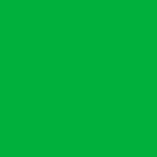 12" Fresh Grass - EasyWeed EcoStretch HTV