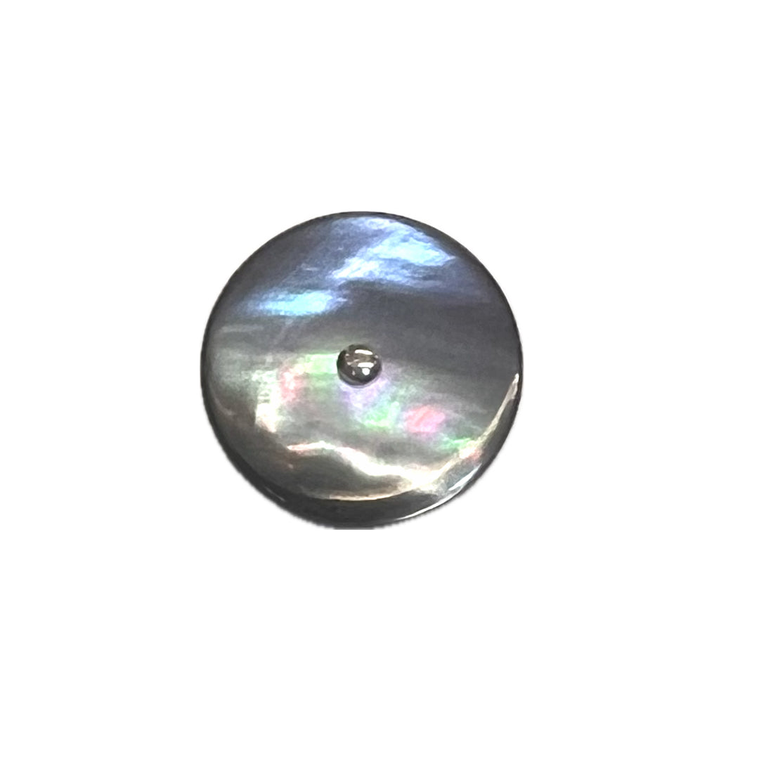 Gray Smoke Trochus Shell-19mm