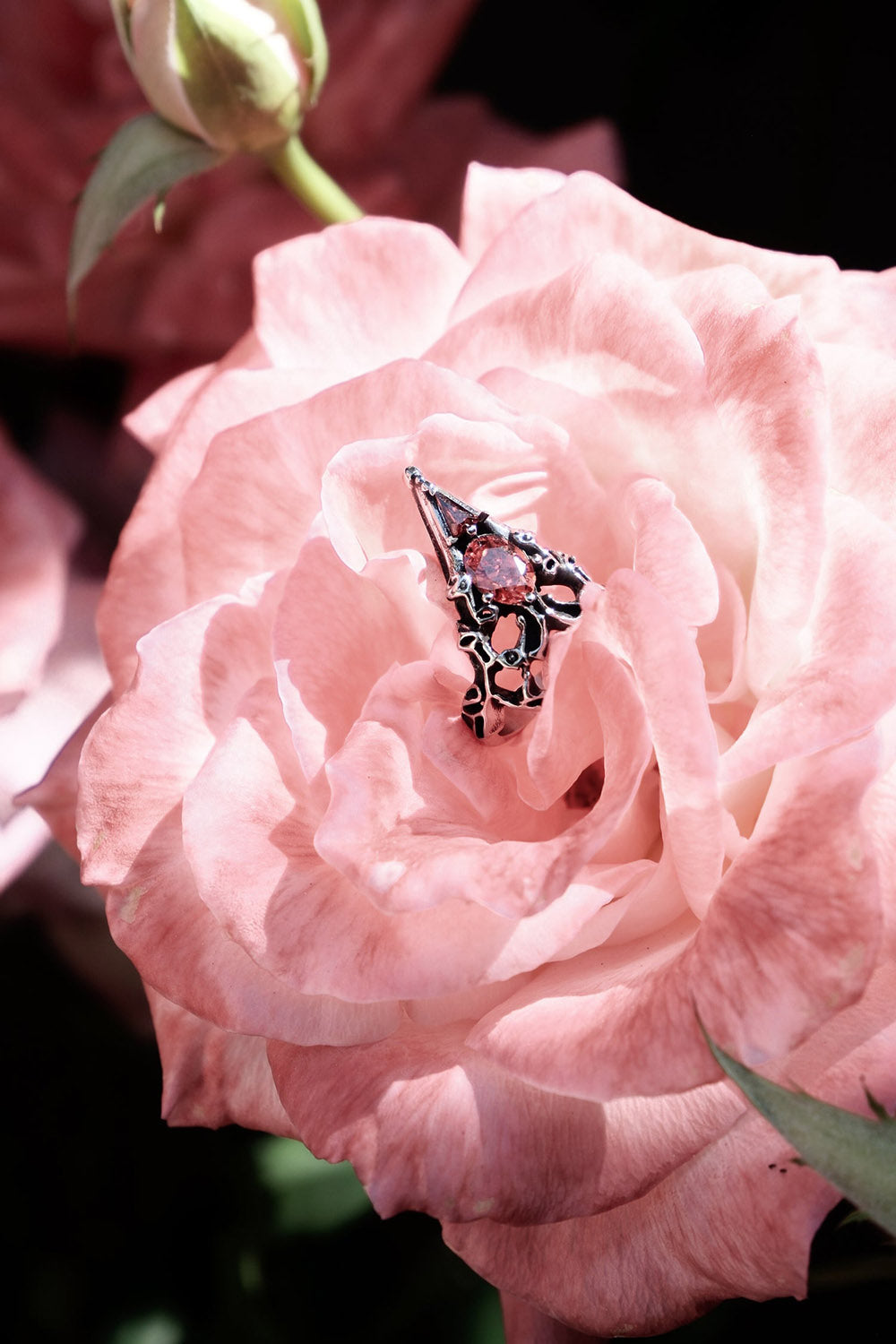 Altarveil Ring
